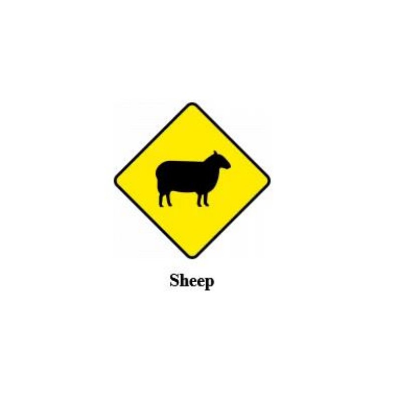 Sheep warning sign Ireland